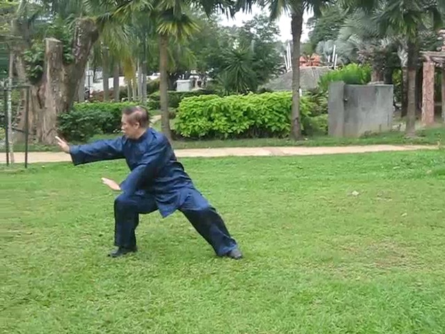 Shaolin 36 Leg Techniques